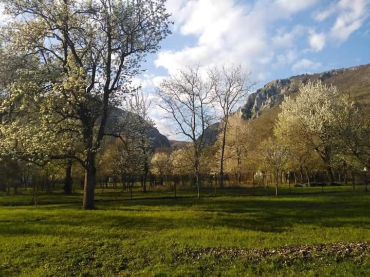 Family Apartman Szadelo - Zadiel Εξωτερικό φωτογραφία